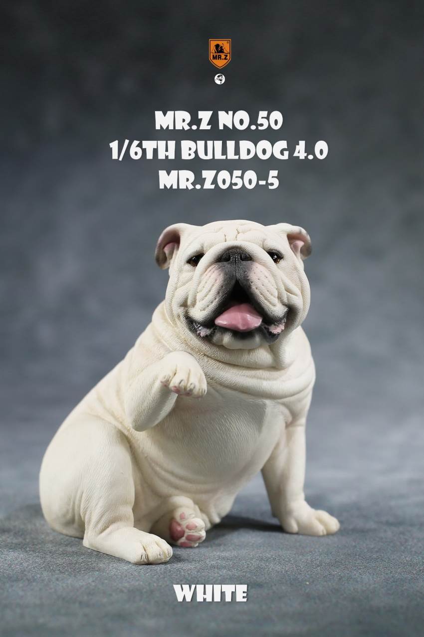 1/6 Animal Model No.50: 1/6th Bulldog V4.0 (all 5 colors)