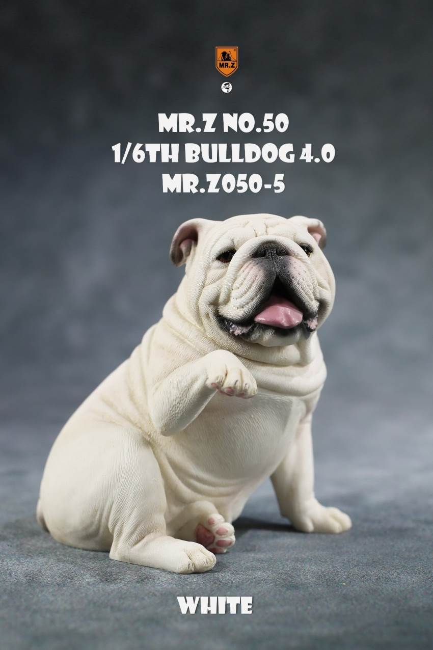 1/6 Animal Model No.50: 1/6th Bulldog V4.0 (all 5 colors)