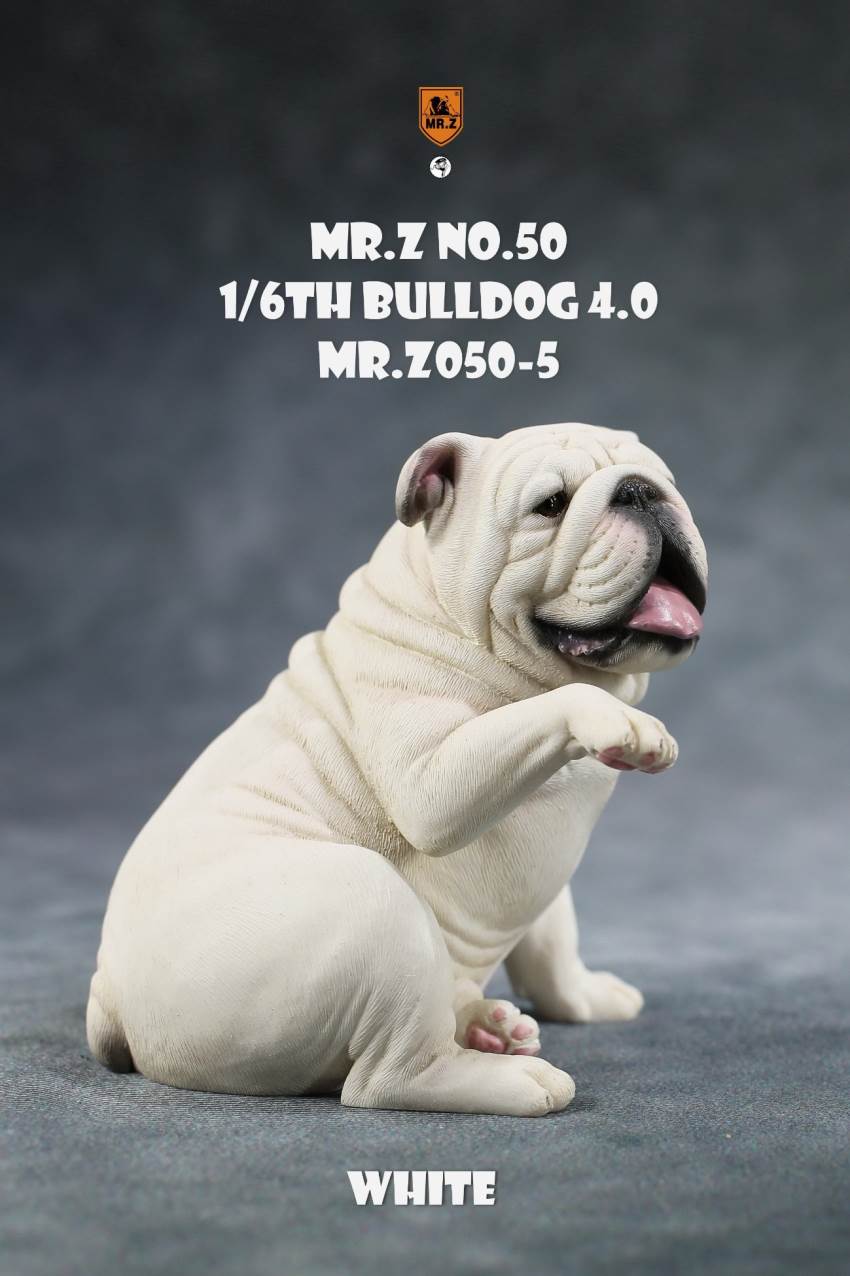 1/6 Animal Model No.50: 1/6th Bulldog V4.0 (all 5 colors)