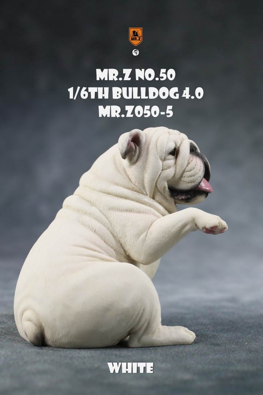 1/6 Animal Model No.50: 1/6th Bulldog V4.0 (all 5 colors)