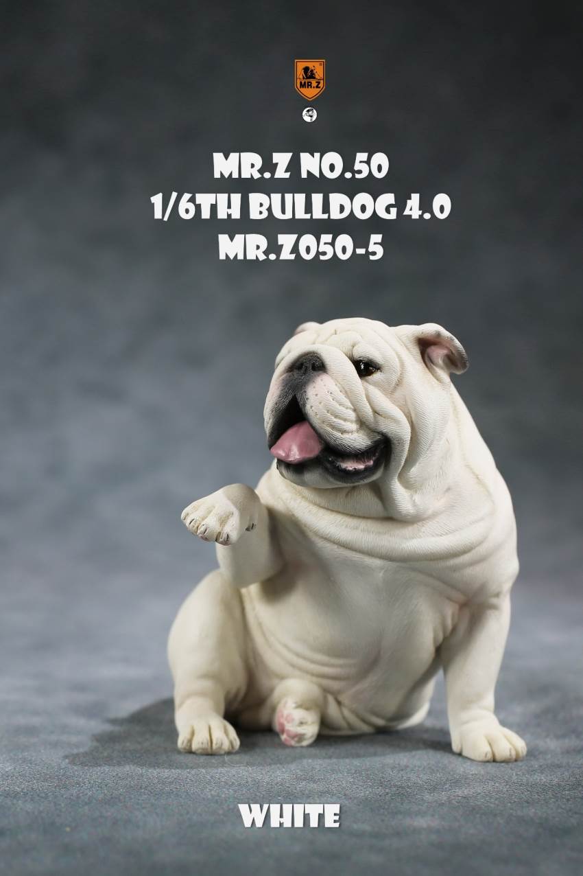 1/6 Animal Model No.50: 1/6th Bulldog V4.0 (all 5 colors)