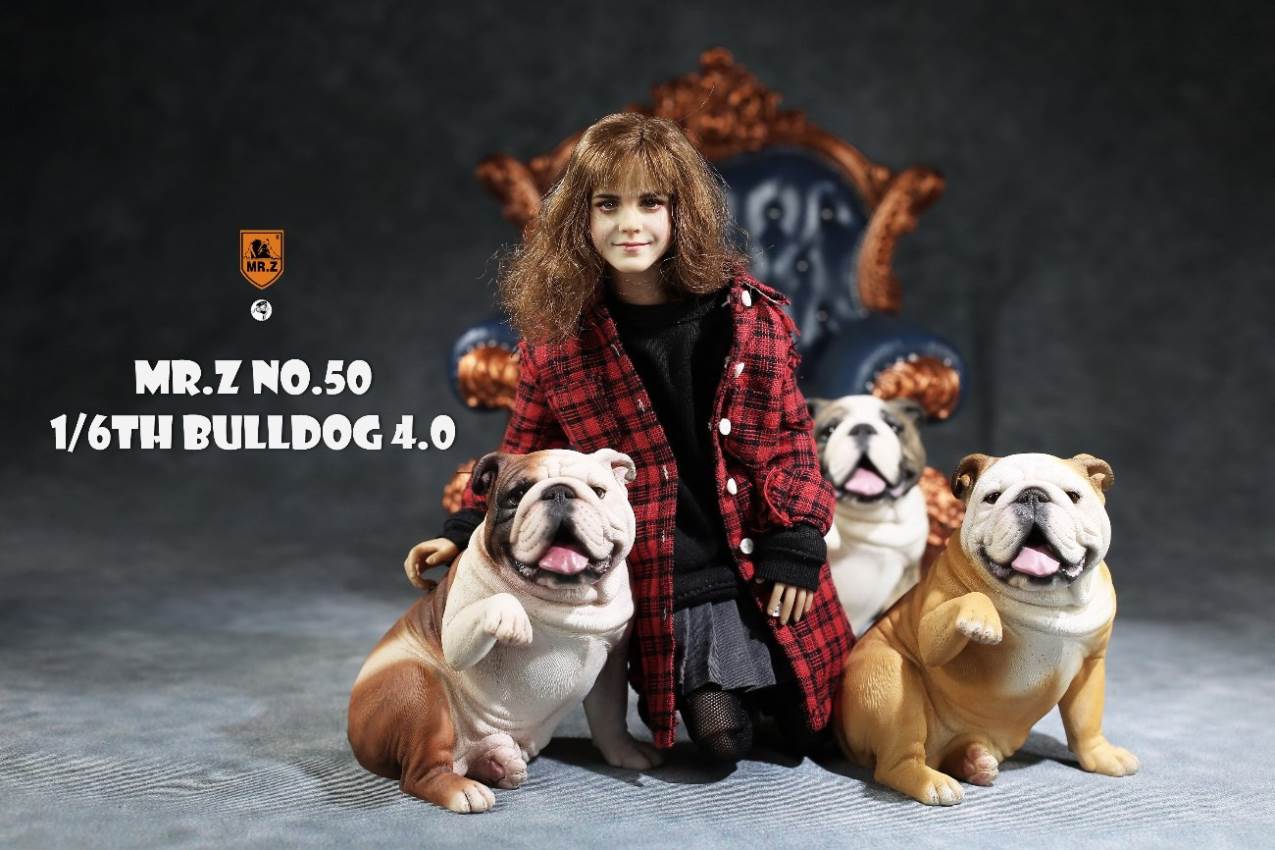 1/6 Animal Model No.50: 1/6th Bulldog V4.0 (all 5 colors)
