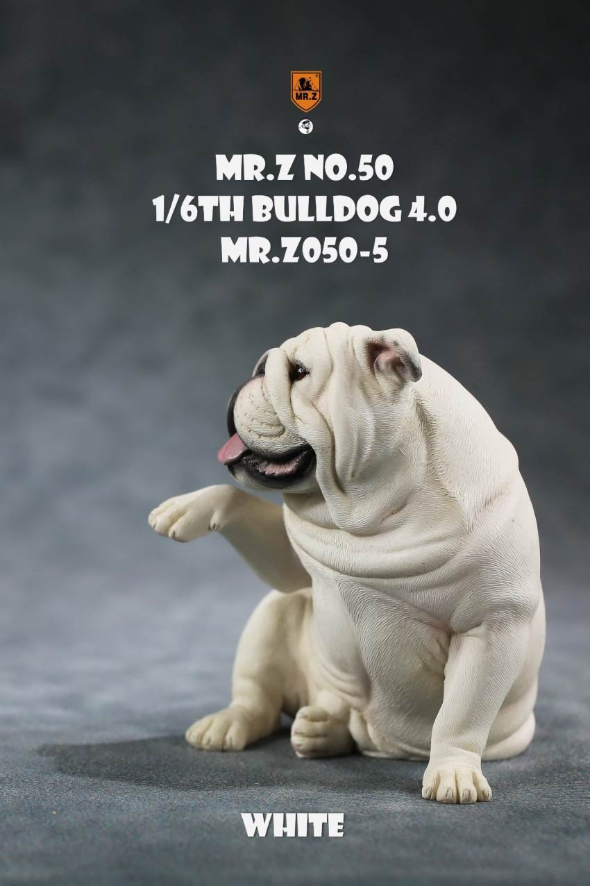 1/6 Animal Model No.50: 1/6th Bulldog V4.0 (all 5 colors)
