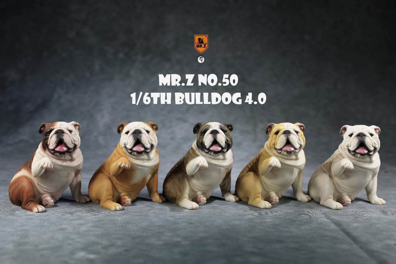 1/6 Animal Model No.50: 1/6th Bulldog V4.0 (all 5 colors)