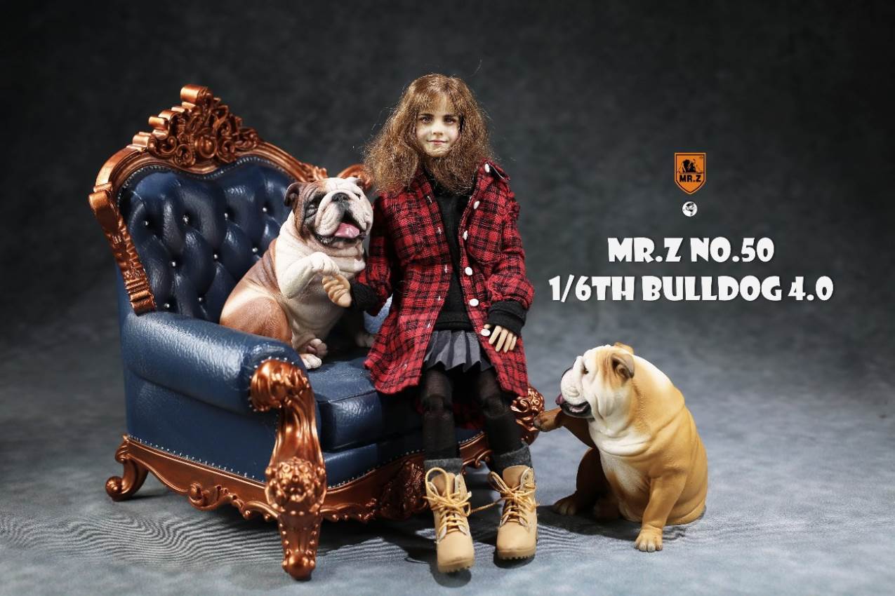 1/6 Animal Model No.50: 1/6th Bulldog V4.0 (all 5 colors)
