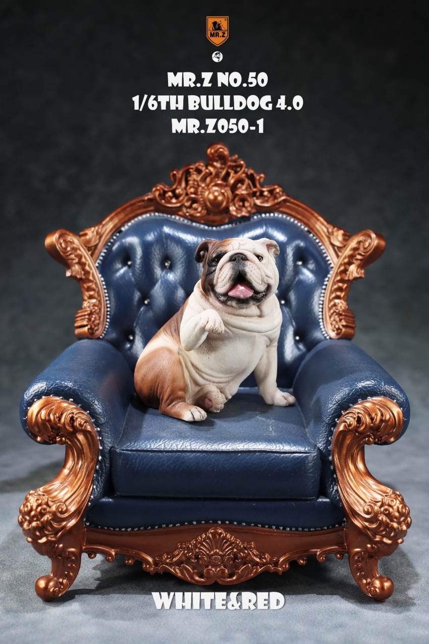 1/6 Animal Model No.50: 1/6th Bulldog V4.0 (all 5 colors)