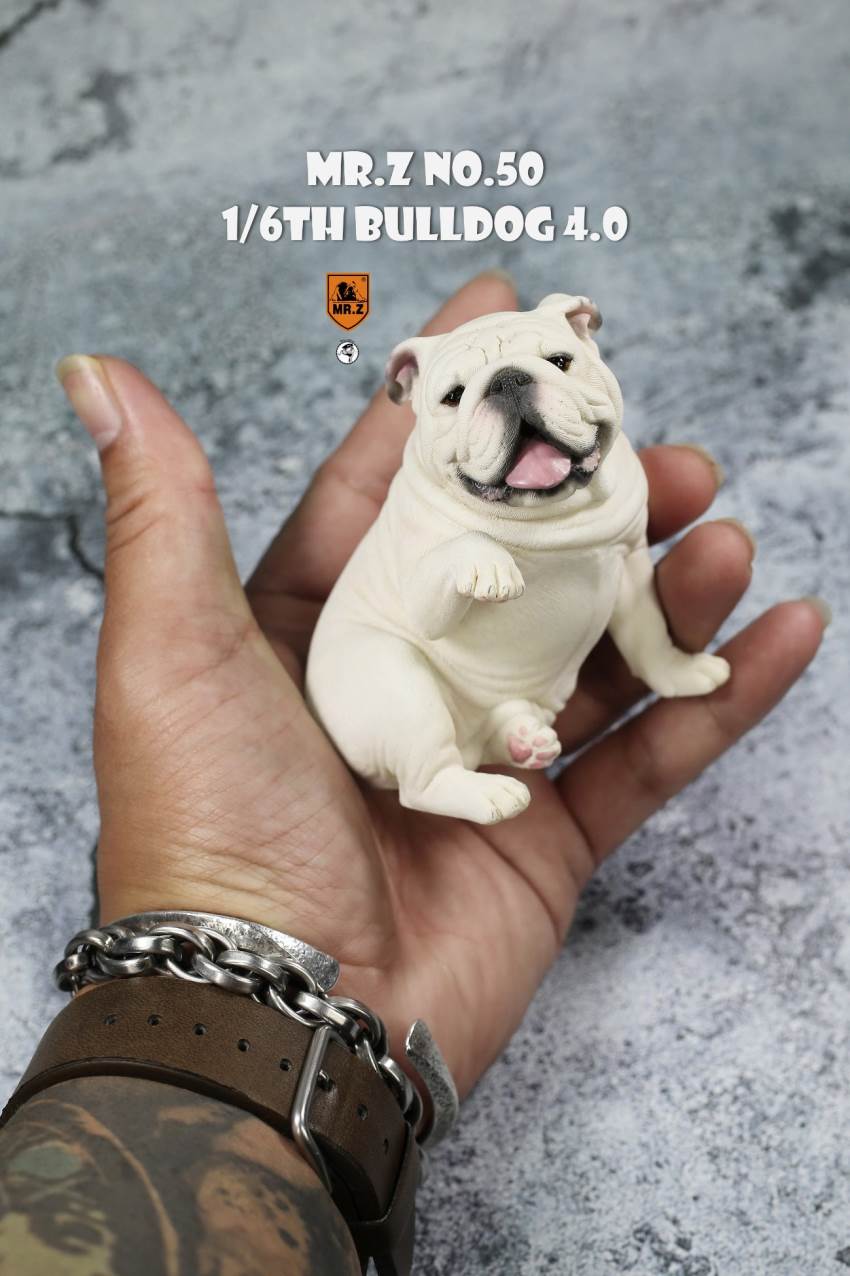 1/6 Animal Model No.50: 1/6th Bulldog V4.0 (all 5 colors)
