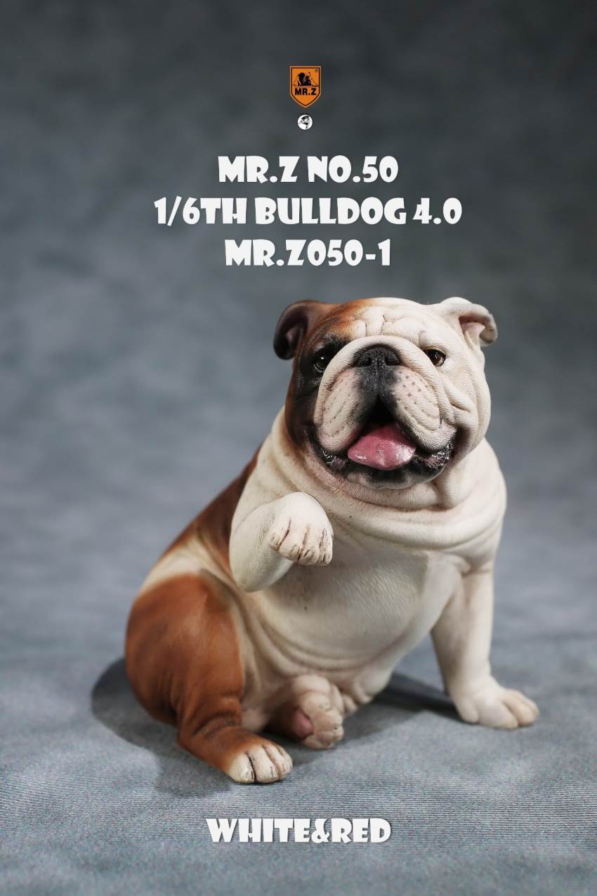 1/6 Animal Model No.50: 1/6th Bulldog V4.0 (all 5 colors)