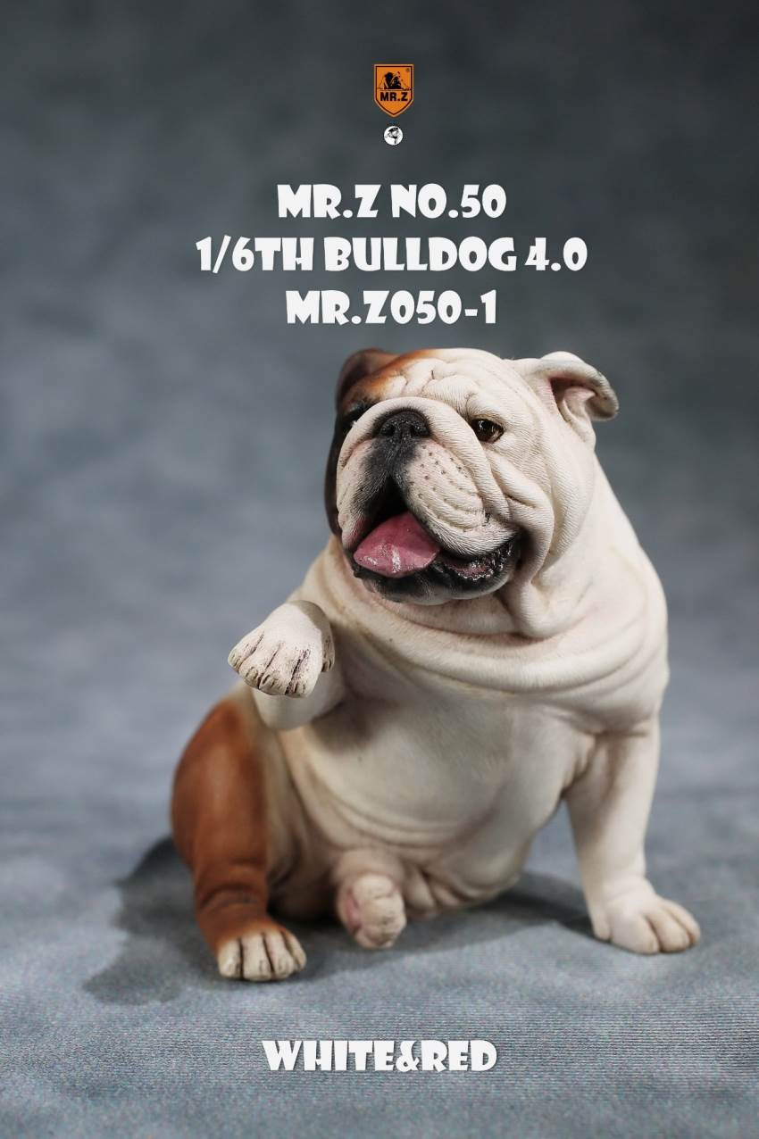 1/6 Animal Model No.50: 1/6th Bulldog V4.0 (all 5 colors)