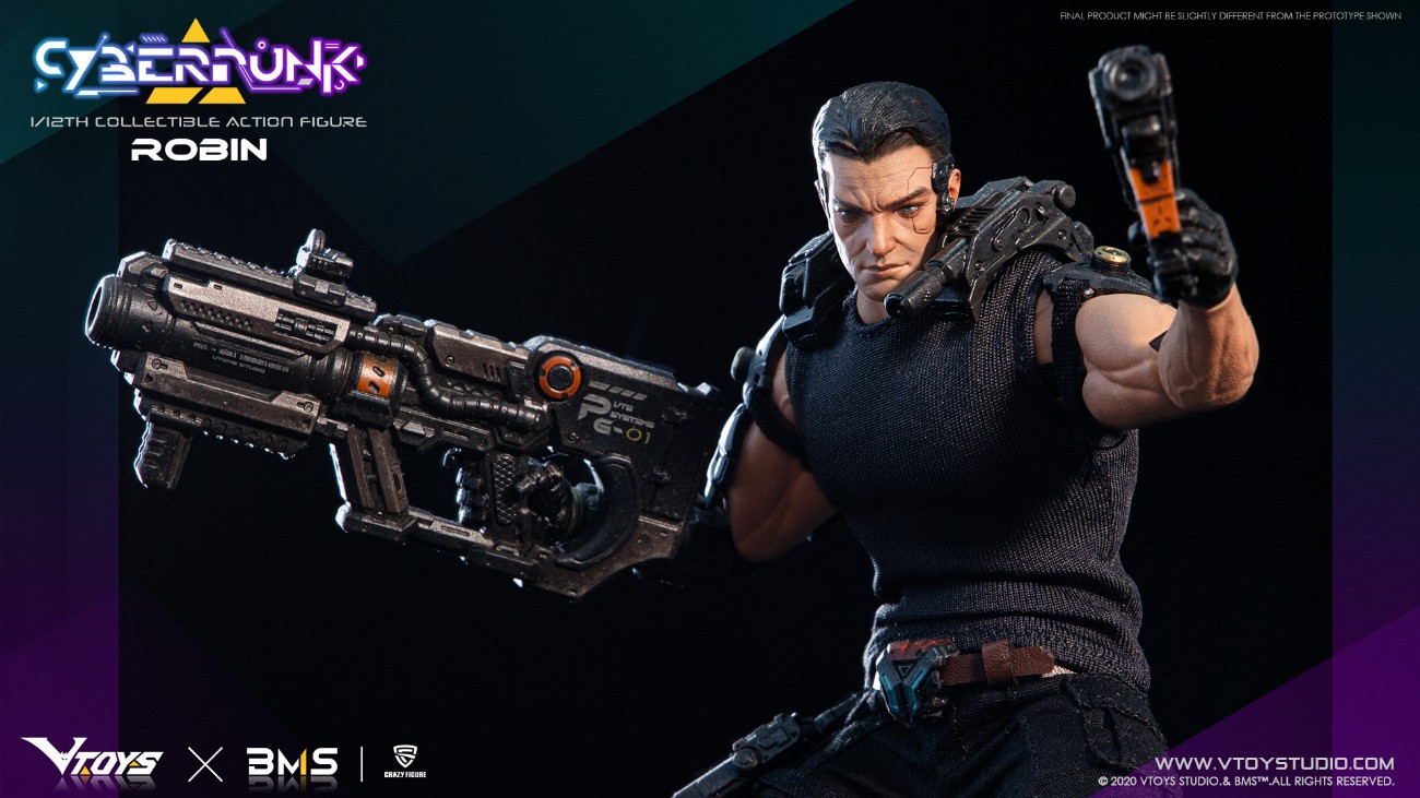 1/12 Cyberpunk-Robin