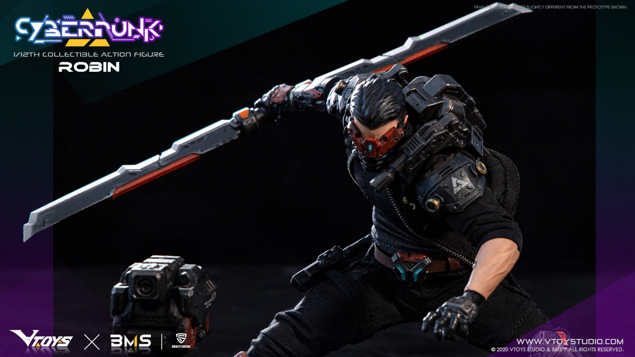 1/12 Cyberpunk-Robin