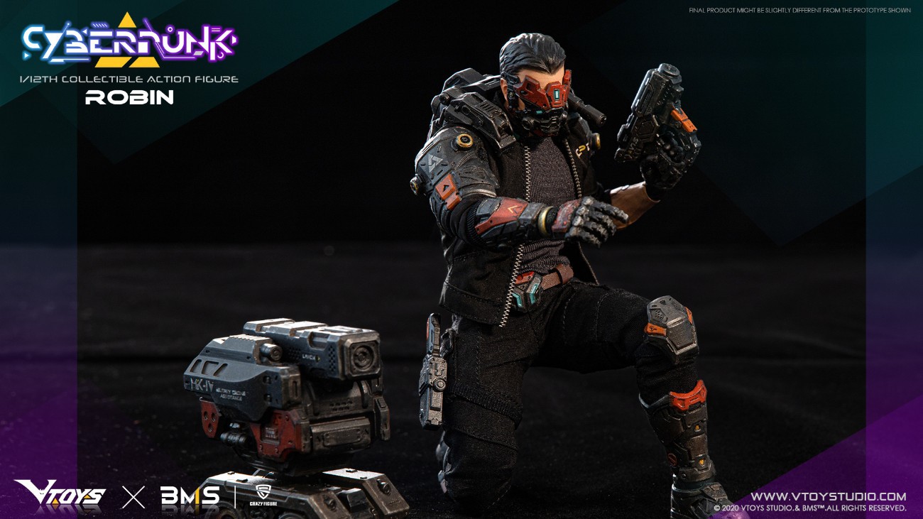 1/12 Cyberpunk-Robin