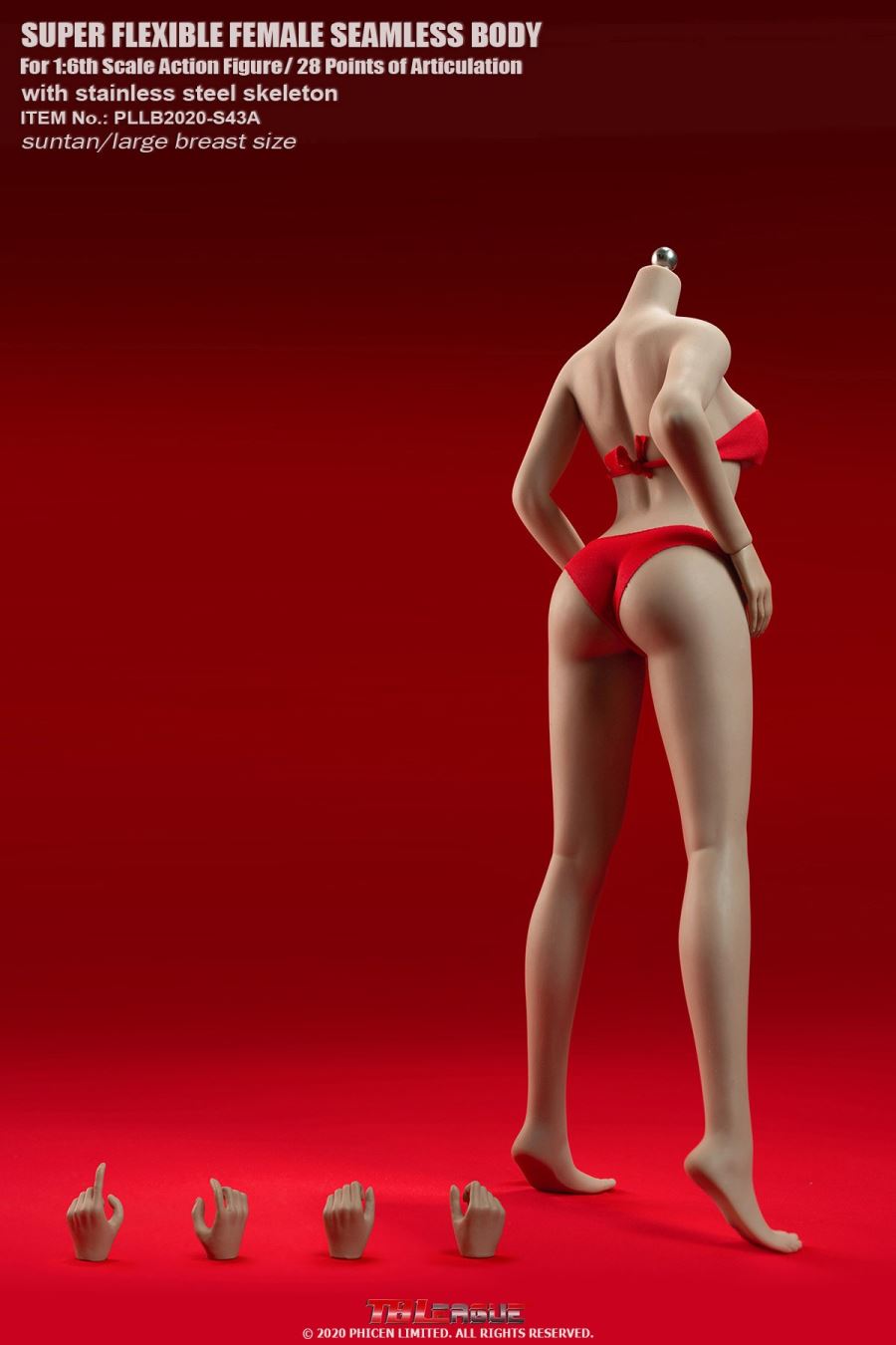  1/6 European and American female body