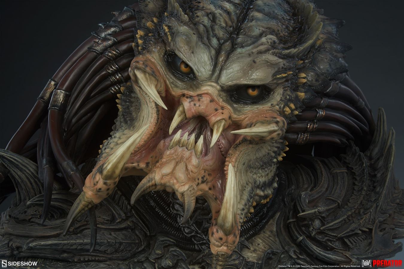 19-inch Predator Bust
