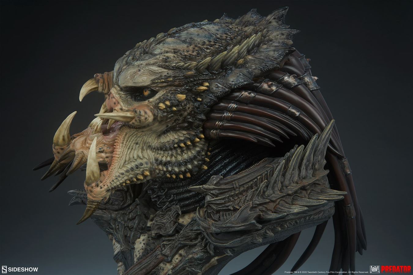 19-inch Predator Bust
