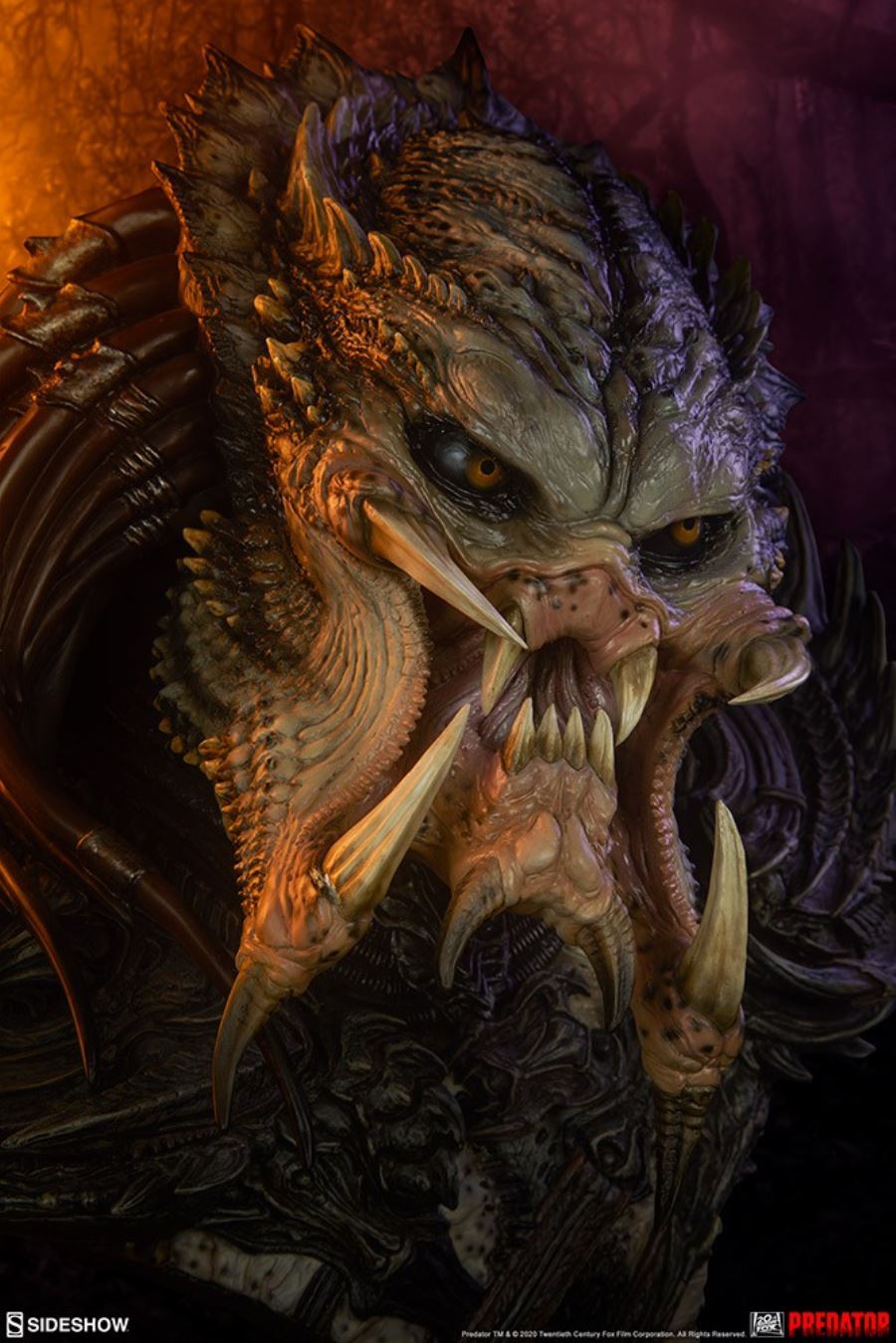 19-inch Predator Bust