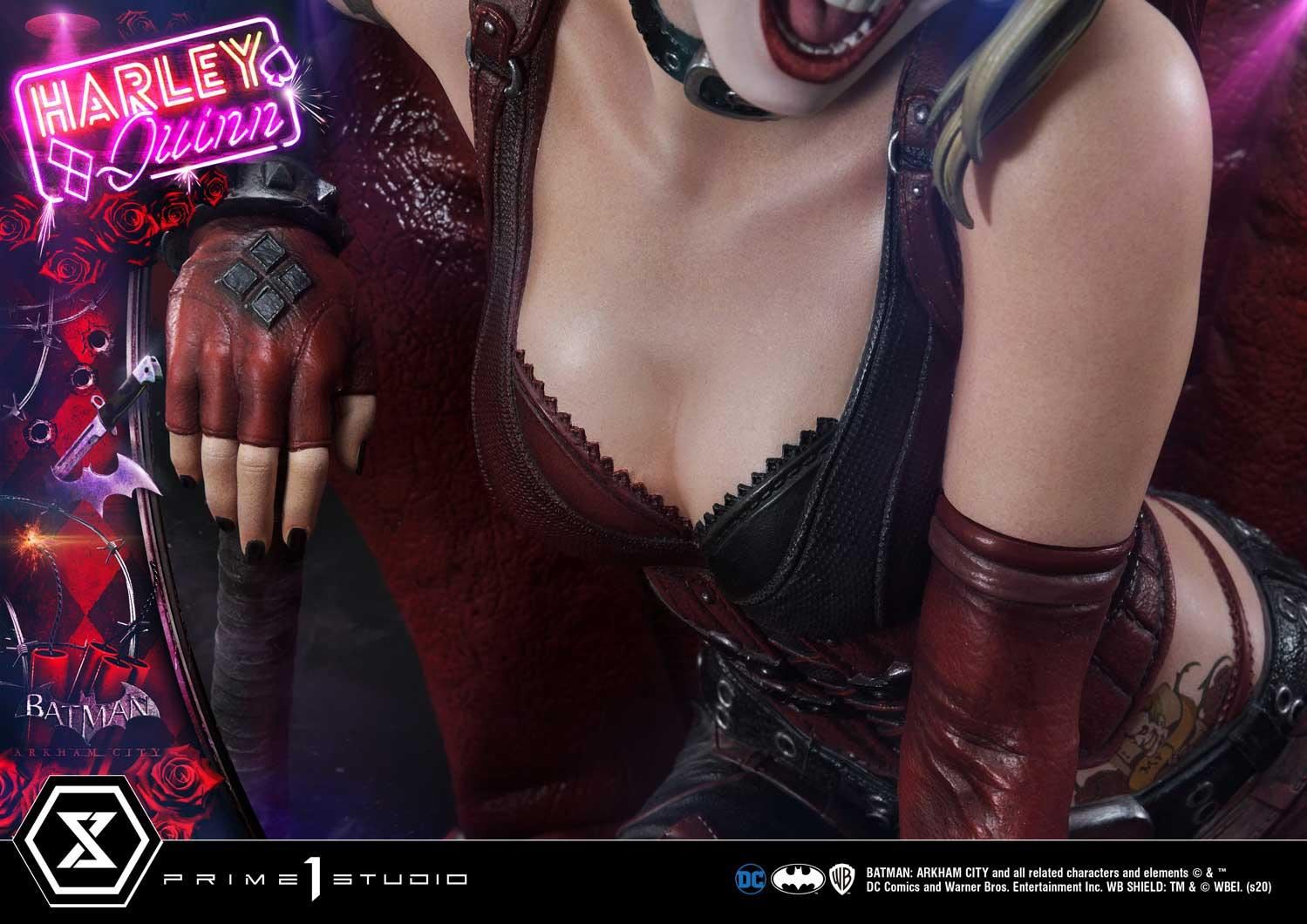 Batman: Arkham City Harley Quinn