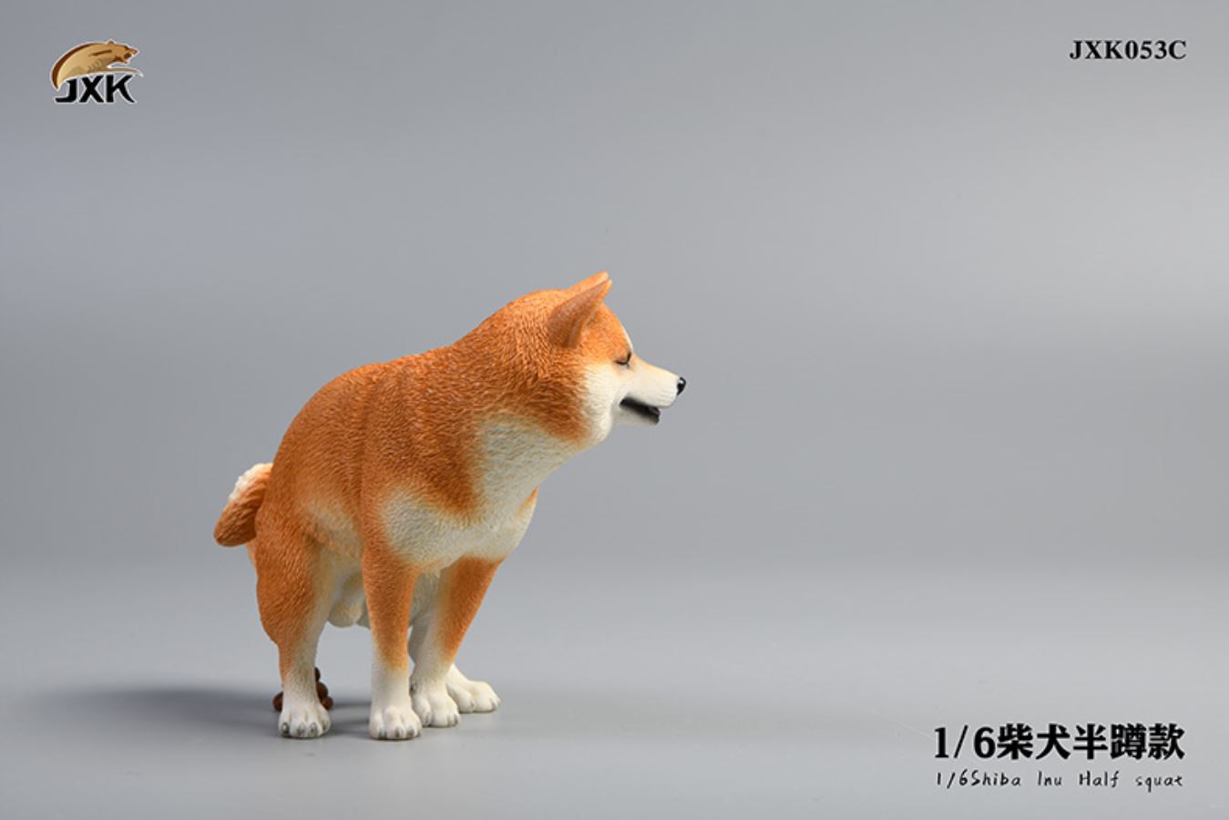 Shiba Inu squat/leg raise posture 1/6