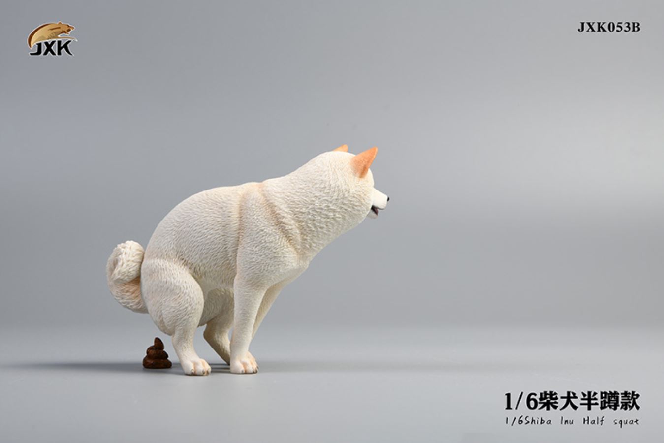 Shiba Inu squat/leg raise posture 1/6