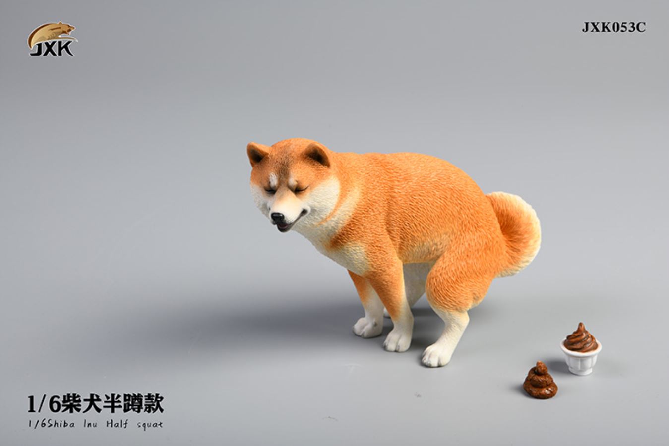 Shiba Inu squat/leg raise posture 1/6