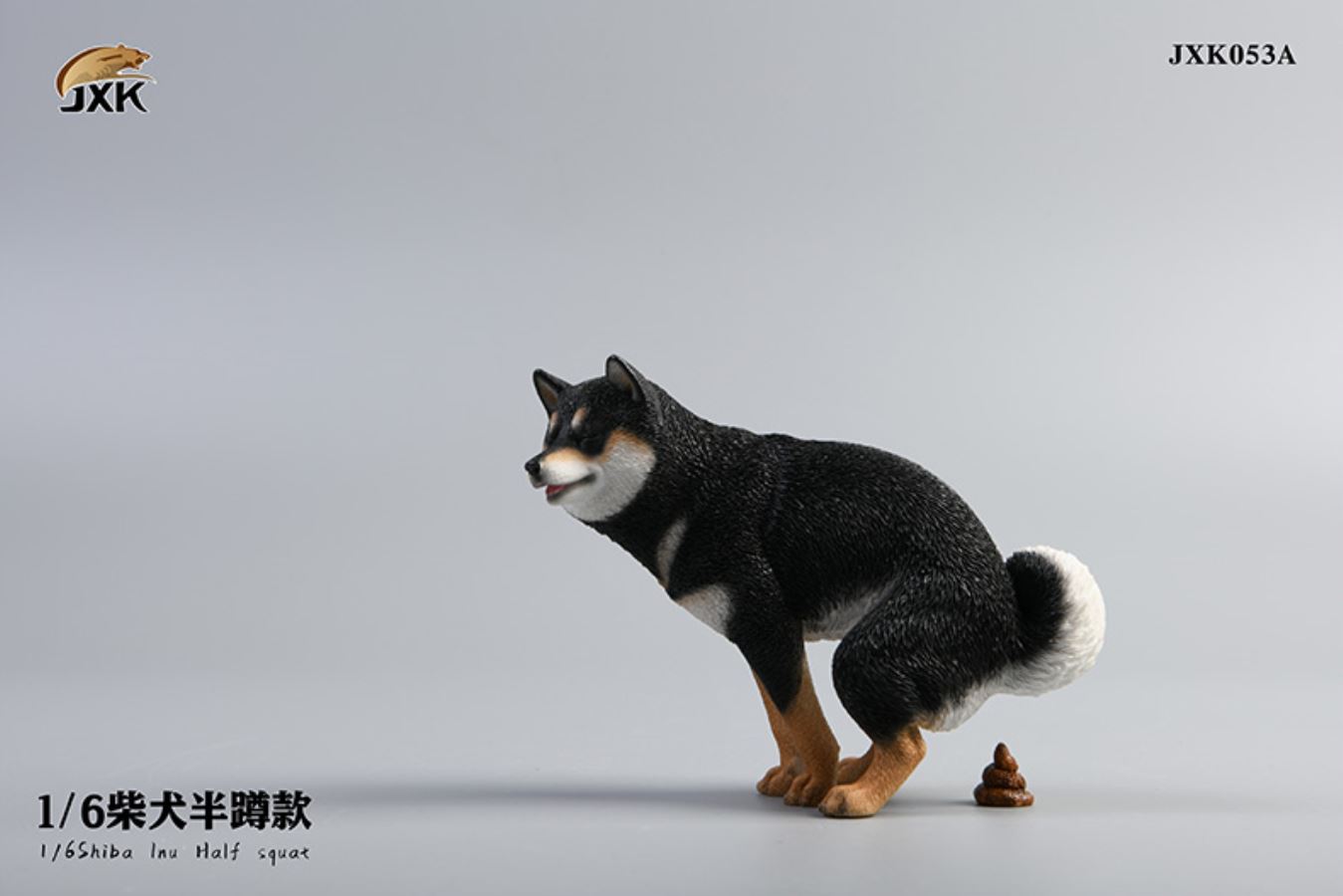 Shiba Inu squat/leg raise posture 1/6