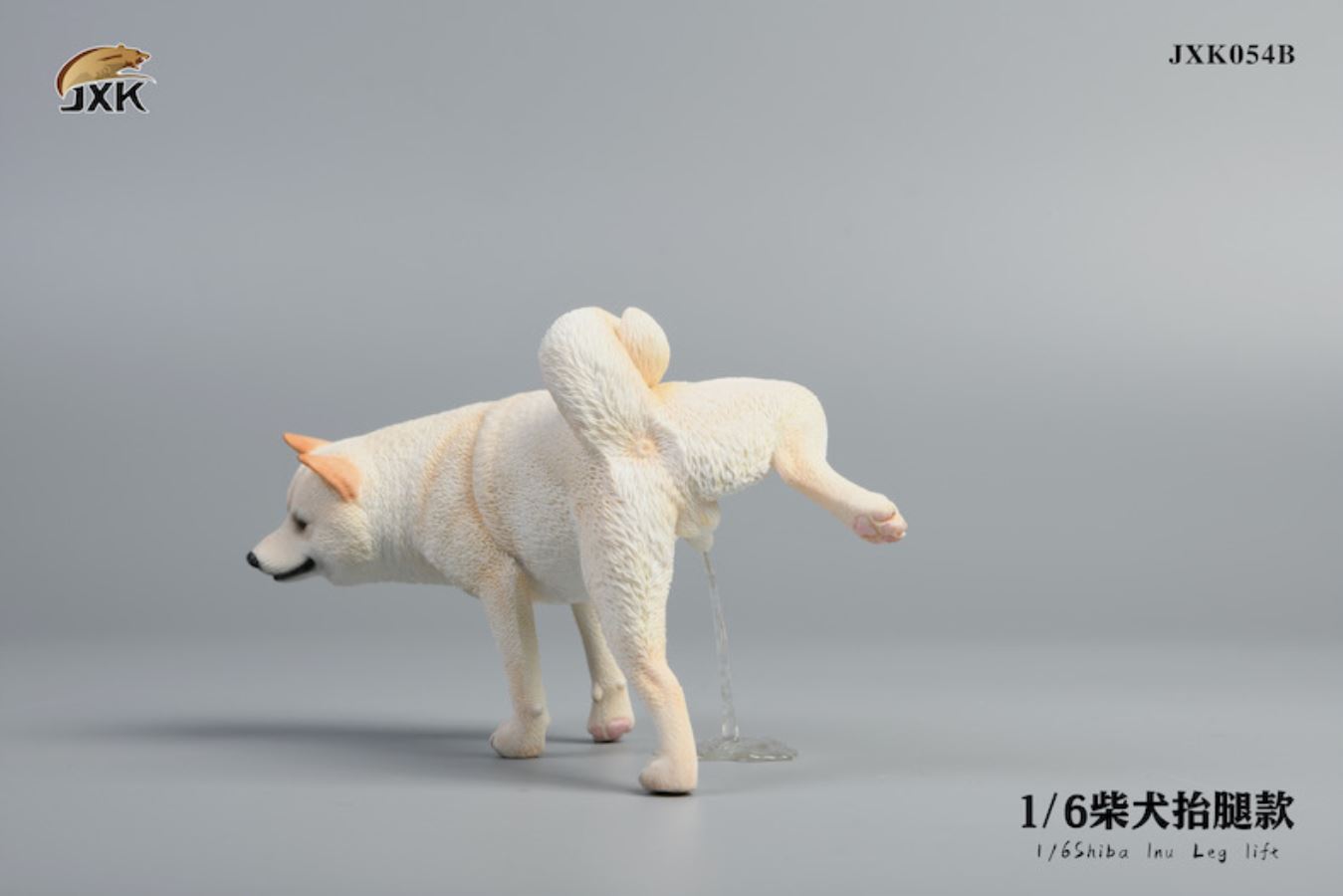 Shiba Inu squat/leg raise posture 1/6