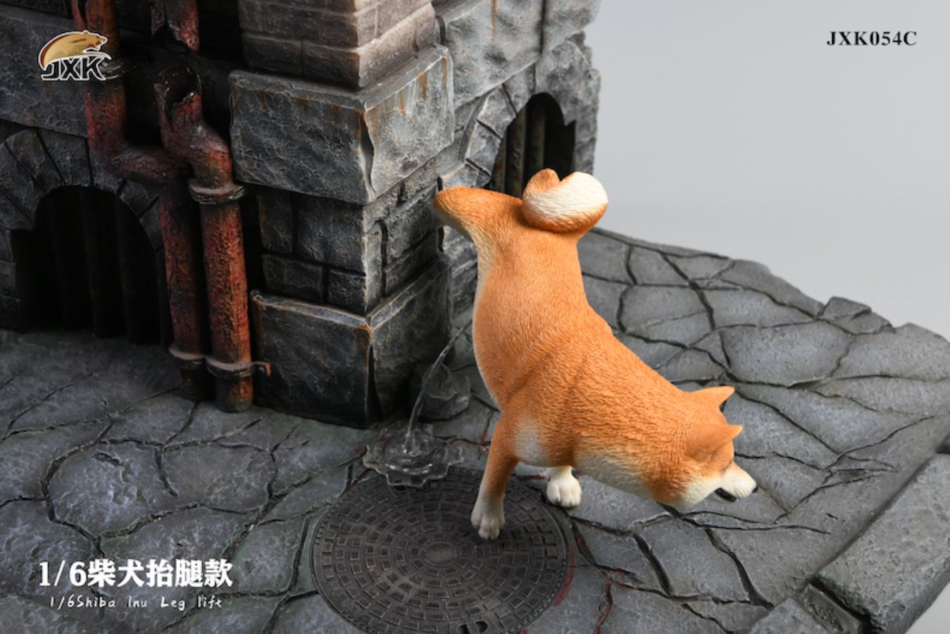 Shiba Inu squat/leg raise posture 1/6