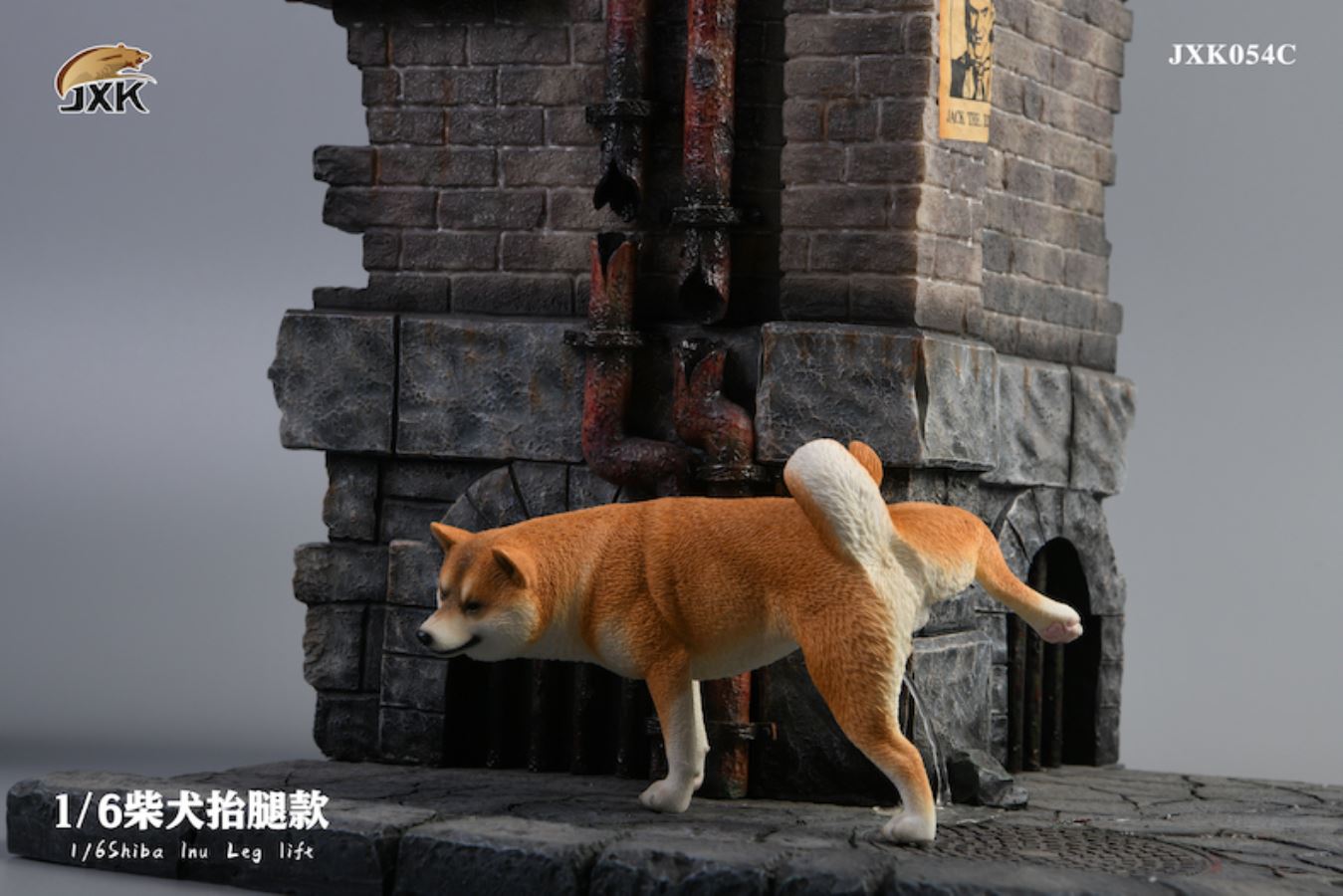 Shiba Inu squat/leg raise posture 1/6