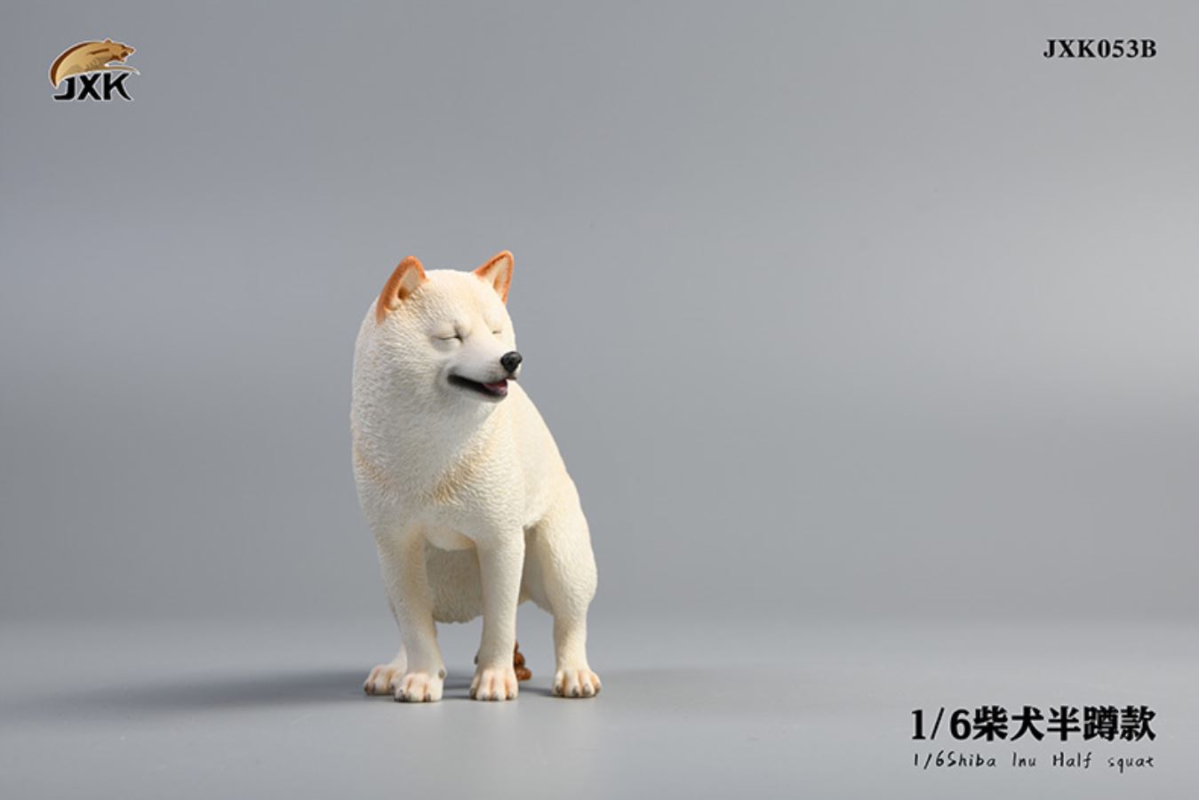 Shiba Inu squat/leg raise posture 1/6