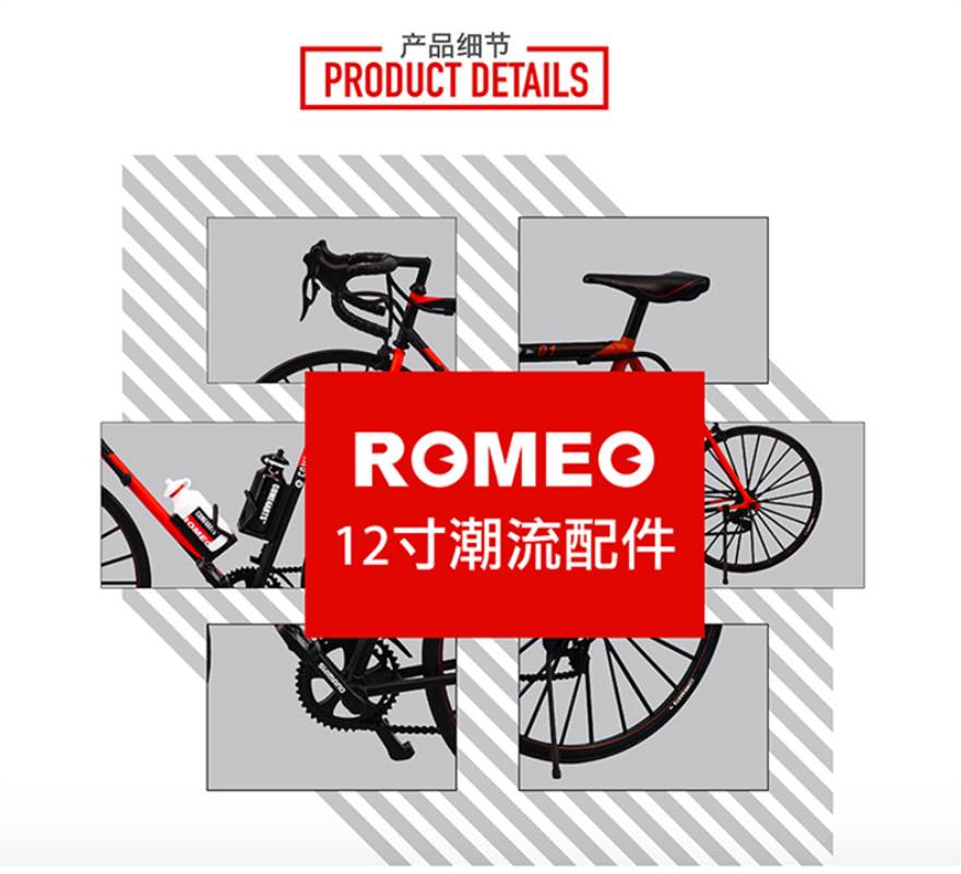 ROMEO Tour de France bike 1/6