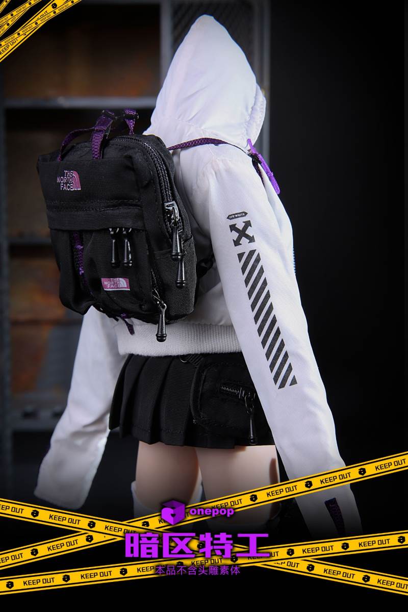 1/6 Trend Series-Dark Zone Special Agent Female Suit