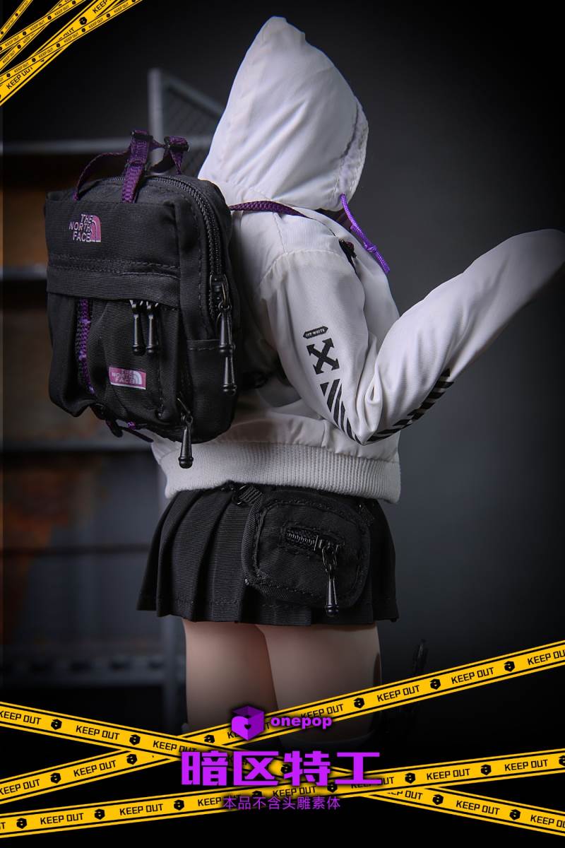1/6 Trend Series-Dark Zone Special Agent Female Suit