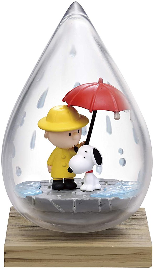 SNOOPY WEATHER Terrarium