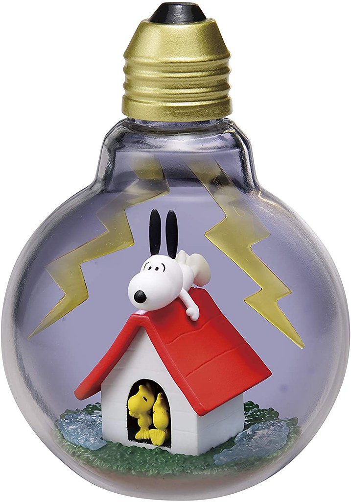 SNOOPY WEATHER Terrarium