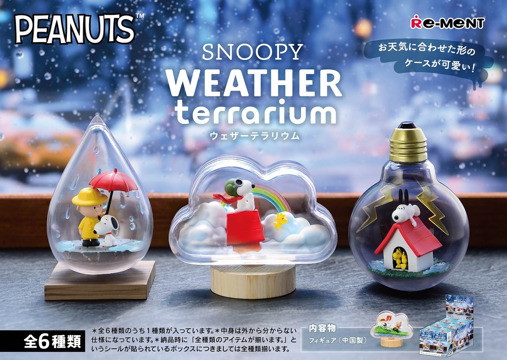 SNOOPY WEATHER Terrarium
