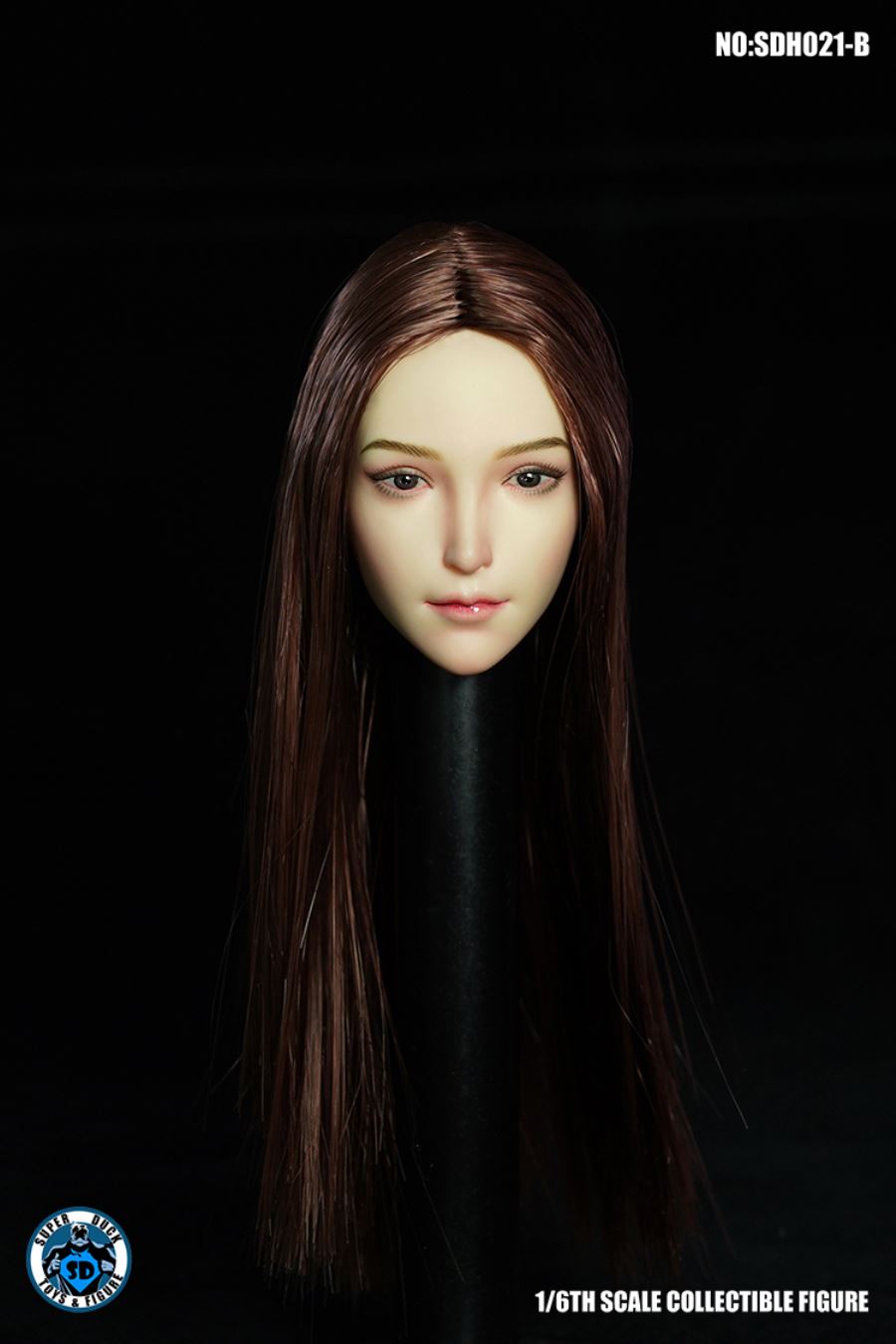 1/6 SDH021 Female Head Sculpture (Five Type - ABCDE)