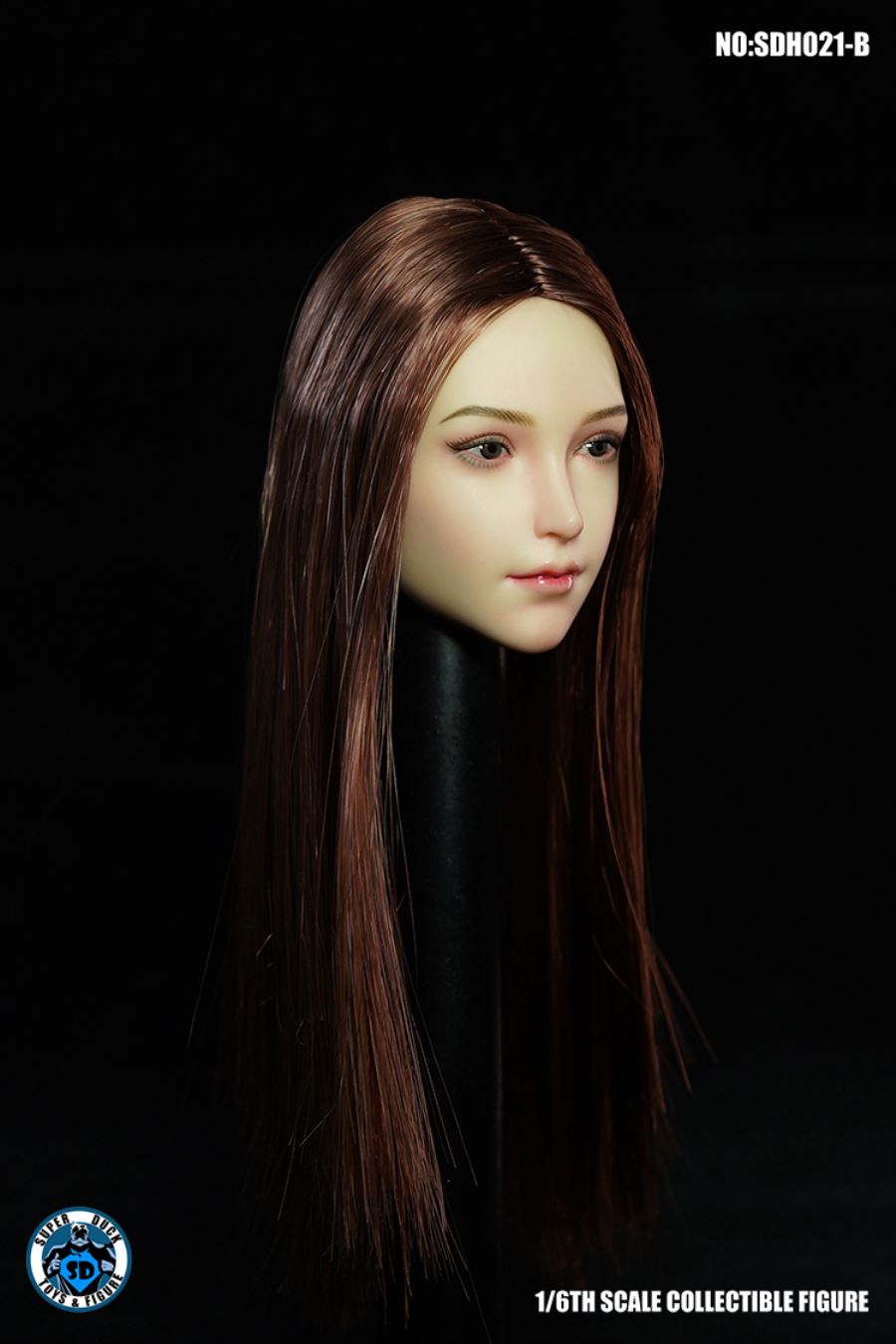 1/6 SDH021 Female Head Sculpture (Five Type - ABCDE)