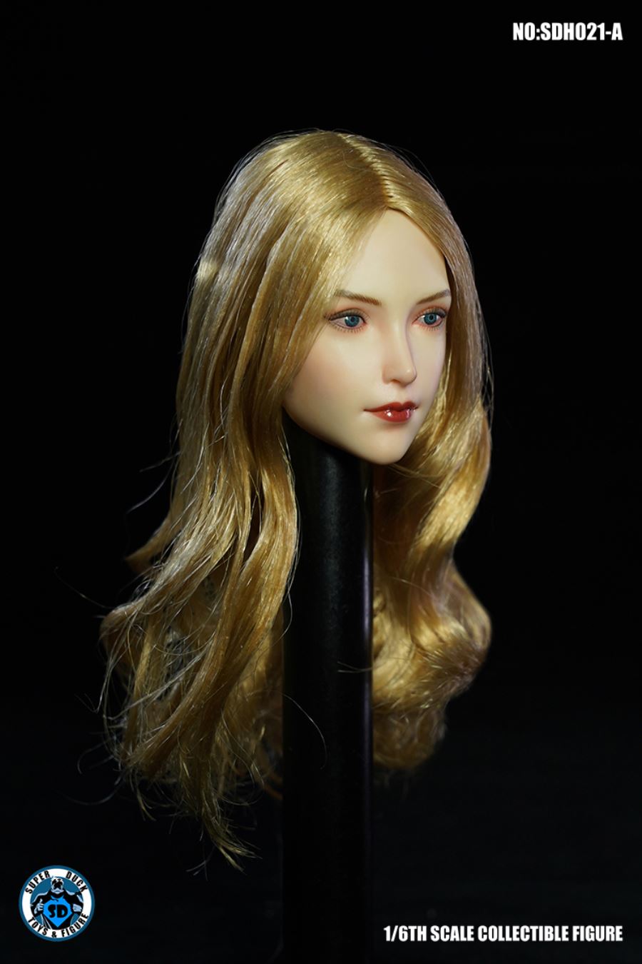 1/6 SDH021 Female Head Sculpture (Five Type - ABCDE)