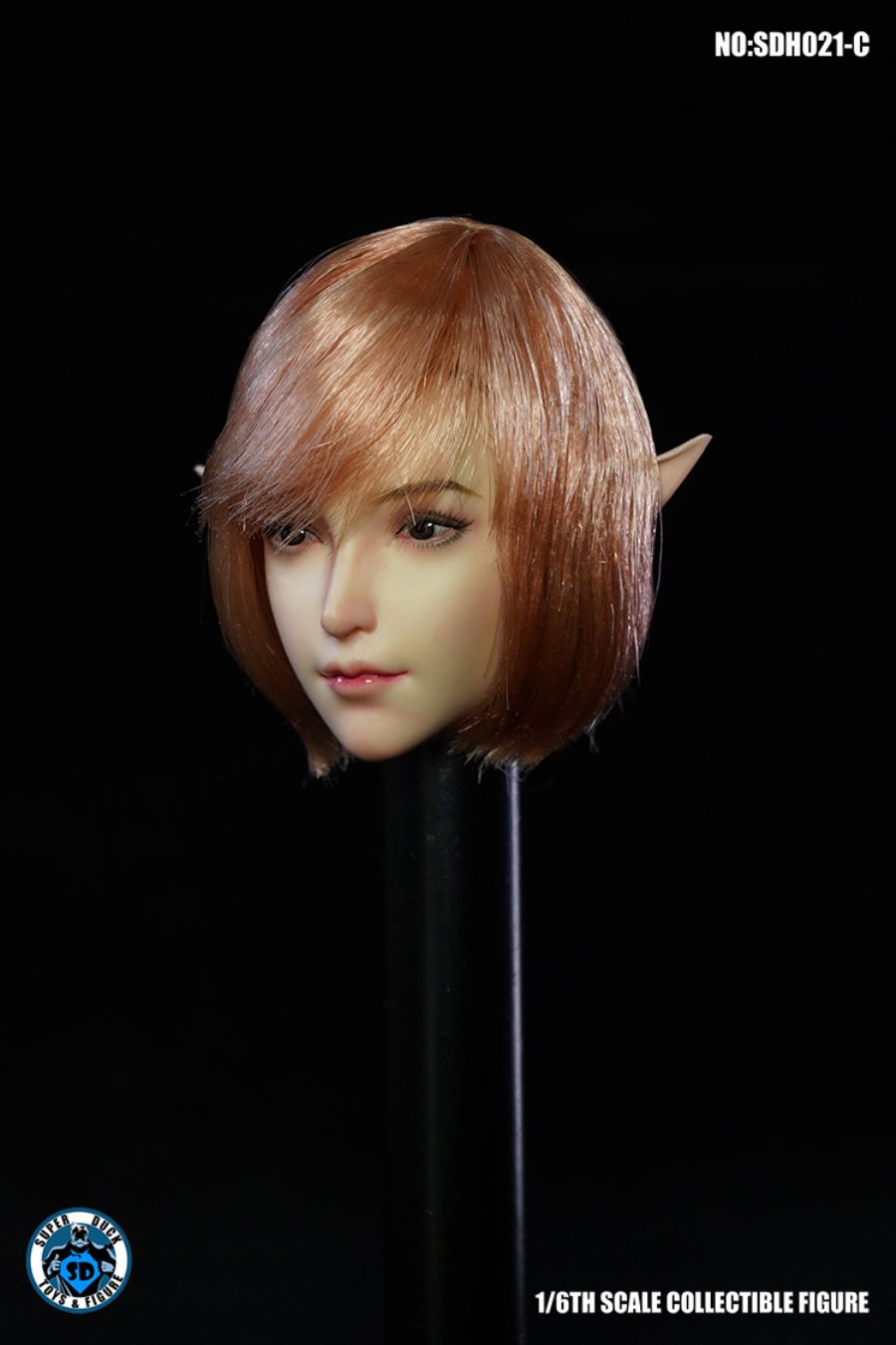 1/6 SDH021 Female Head Sculpture (Five Type - ABCDE)