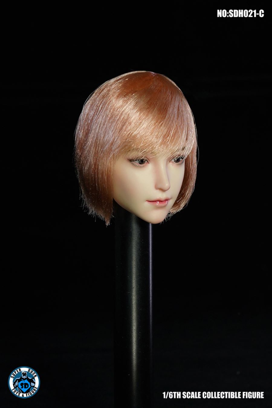 1/6 SDH021 Female Head Sculpture (Five Type - ABCDE)