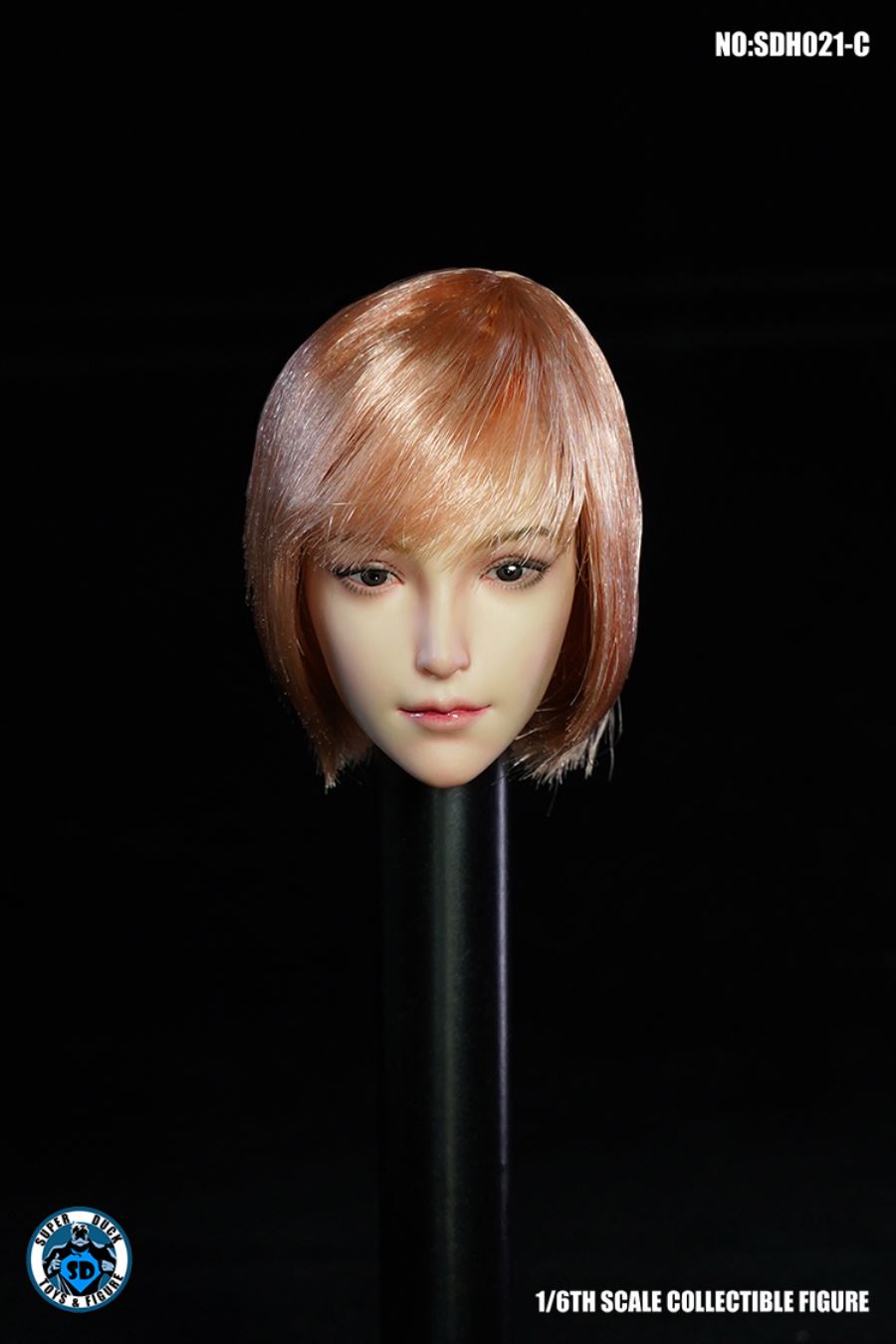 1/6 SDH021 Female Head Sculpture (Five Type - ABCDE)