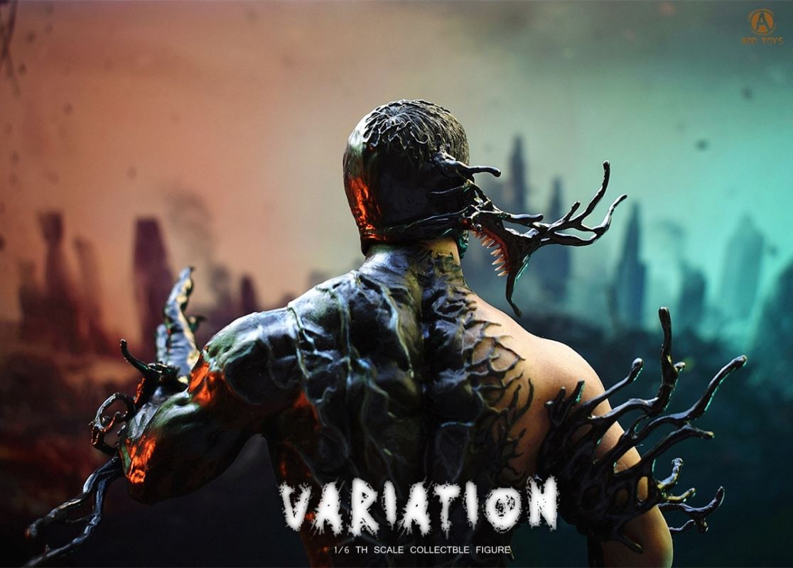VARIATION 1/6