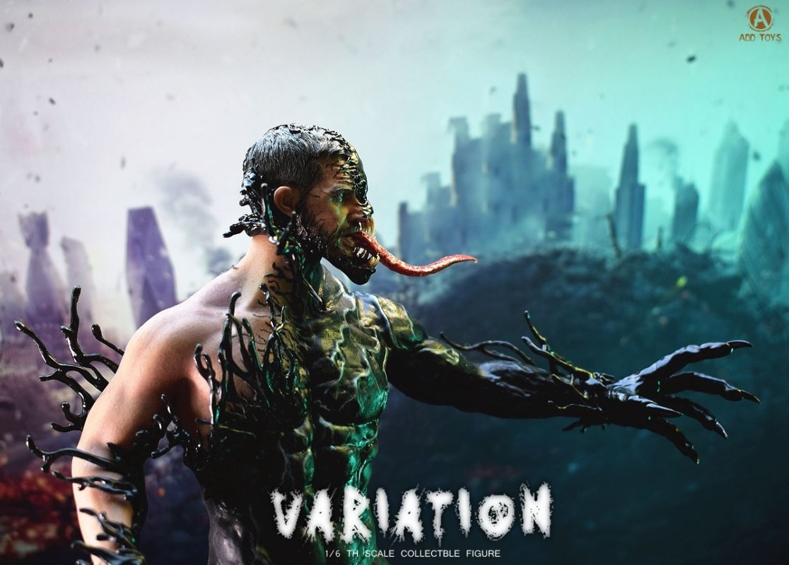 VARIATION 1/6