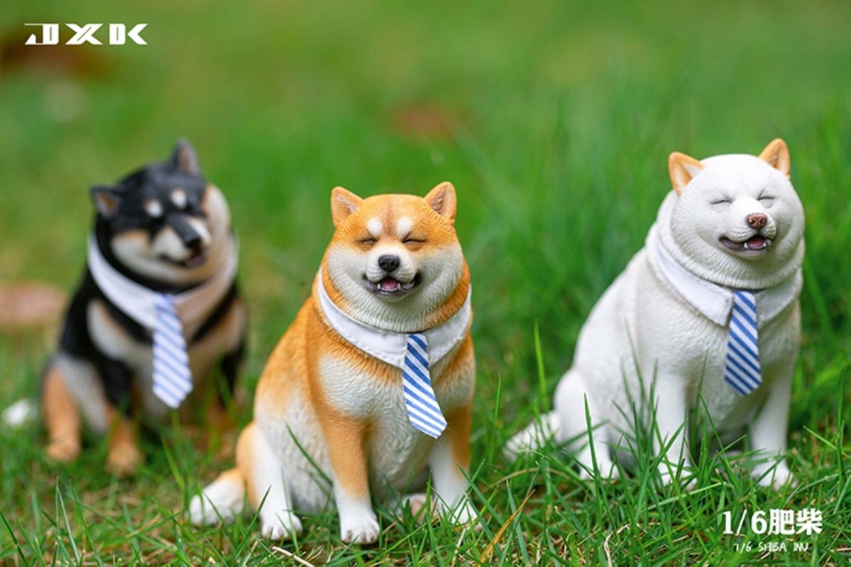 Shiba Inu 1/6