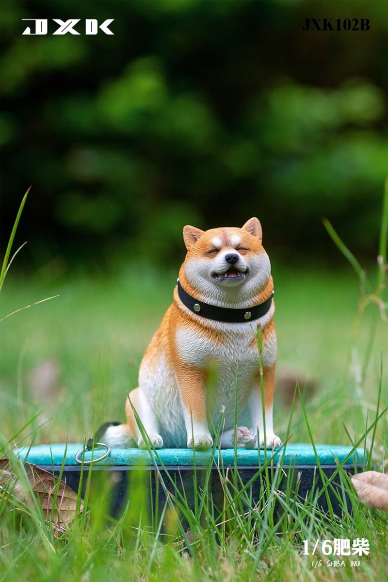 Shiba Inu 1/6