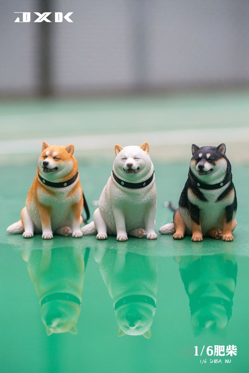 Shiba Inu 1/6