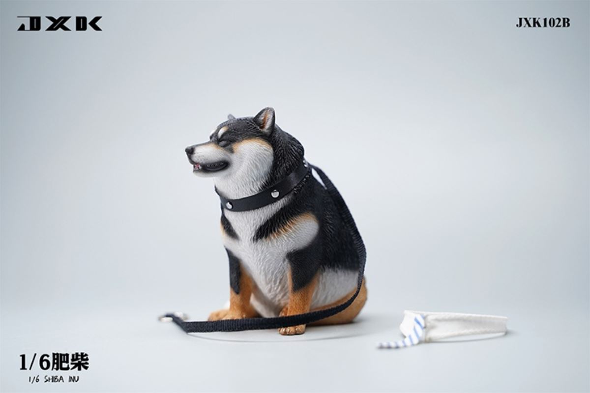 Shiba Inu 1/6