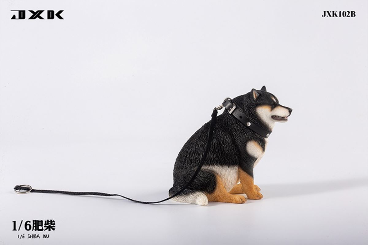 Shiba Inu 1/6