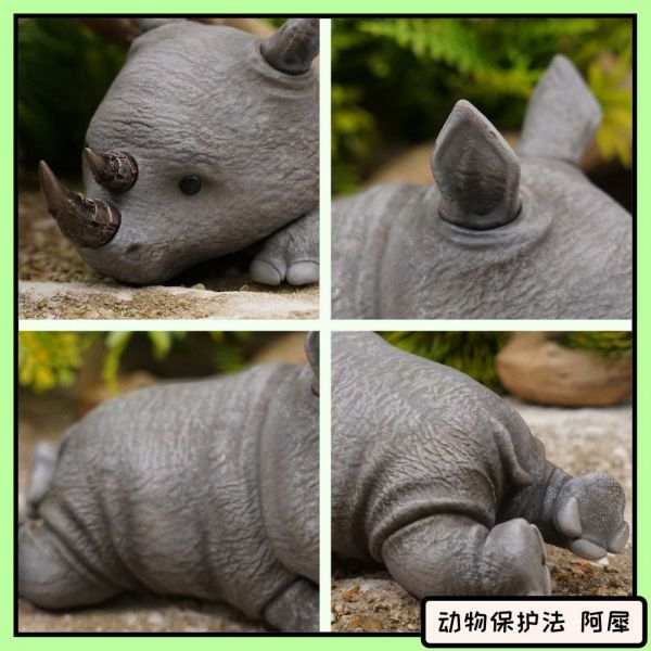Baby Rhinoceros