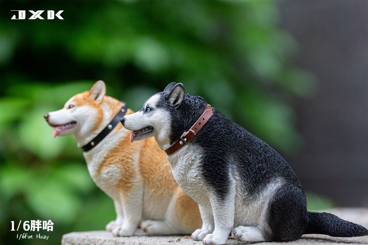 Fat Husky 1/6